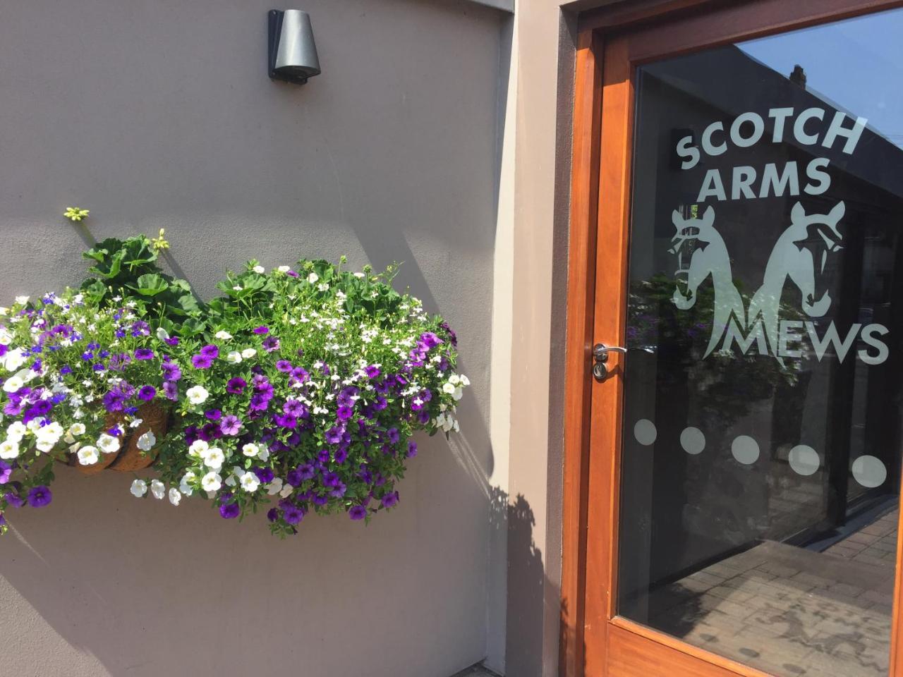 Scotch Arms Mews Bed & Breakfast 布兰普顿 外观 照片